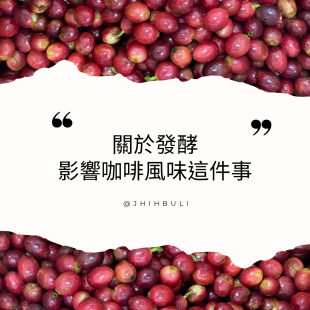 關於發酵影像咖啡風味水洗法日曬法.png